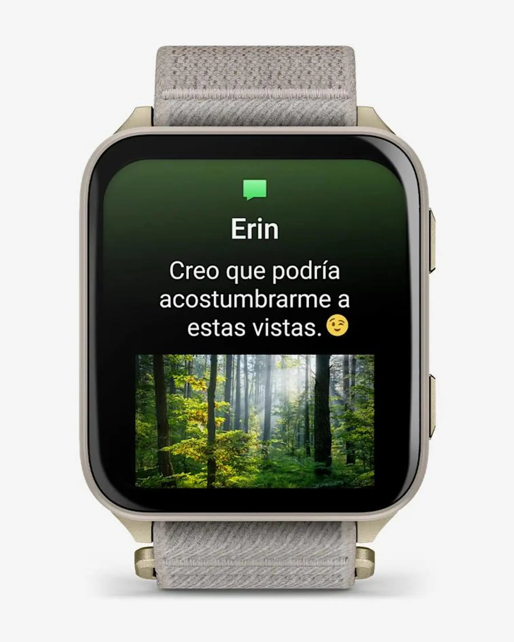 Garmin Venu X1 smartwatch dorado con correa gris 2" AMOLED zafiro titanio Bluetooth Wi‑Fi ANT+